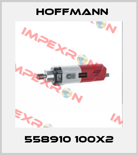 558910 100X2 Hoffmann