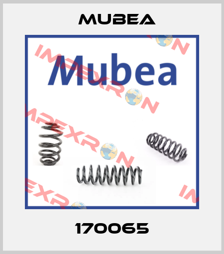 170065 Mubea