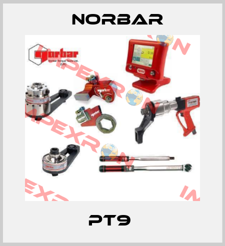 PT9  Norbar