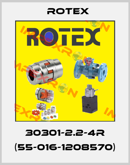 30301-2.2-4R (55-016-1208570) Rotex