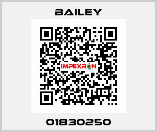 01830250 Bailey