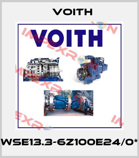WSE13.3-6Z100E24/0* Voith