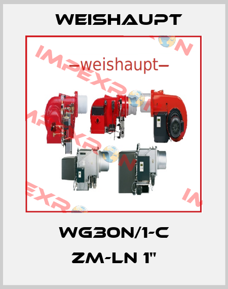 WG30N/1-C ZM-LN 1" Weishaupt