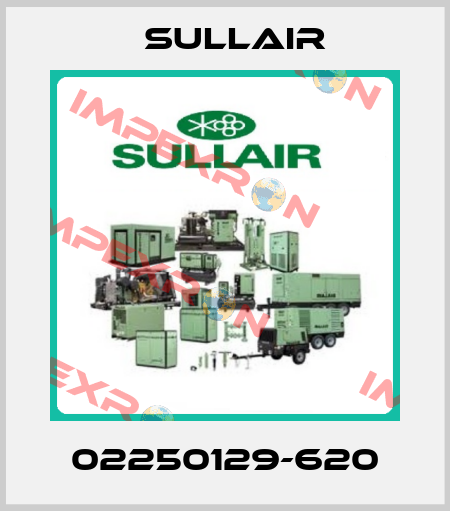 02250129-620 Sullair