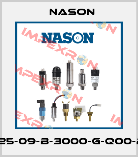 NT25-09-B-3000-G-Q00-2-X Nason