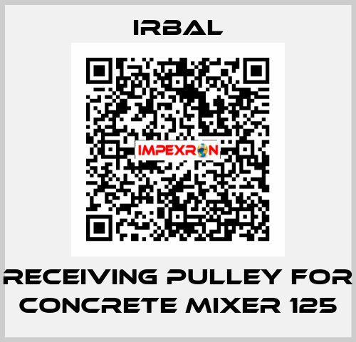 receiving pulley for Concrete mixer 125 irbal