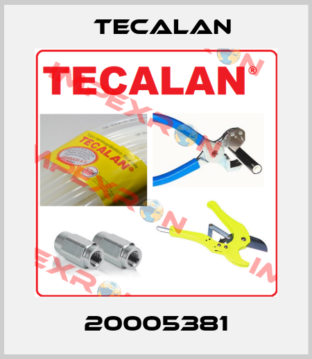 20005381 Tecalan