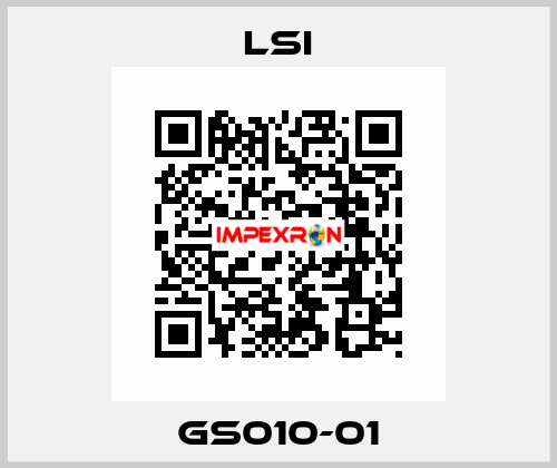 GS010-01 LSI