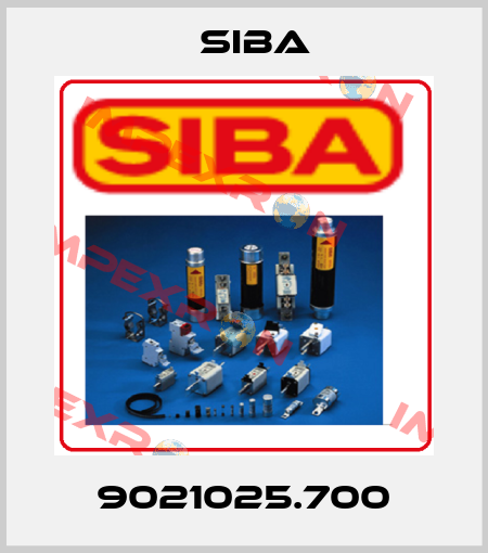9021025.700 Siba