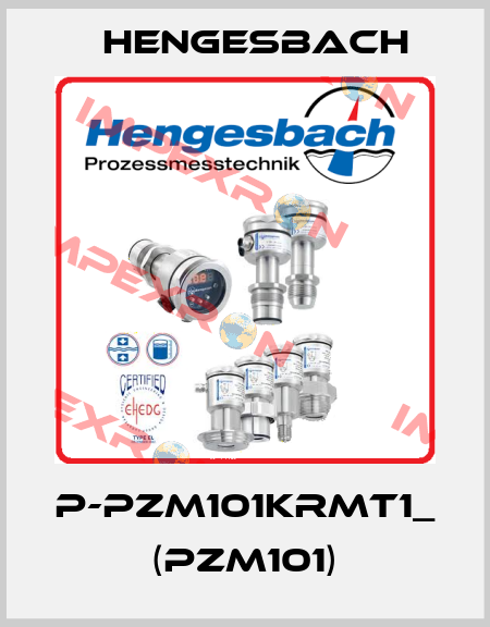 P-PZM101KRMT1_  (PZM101) Hengesbach