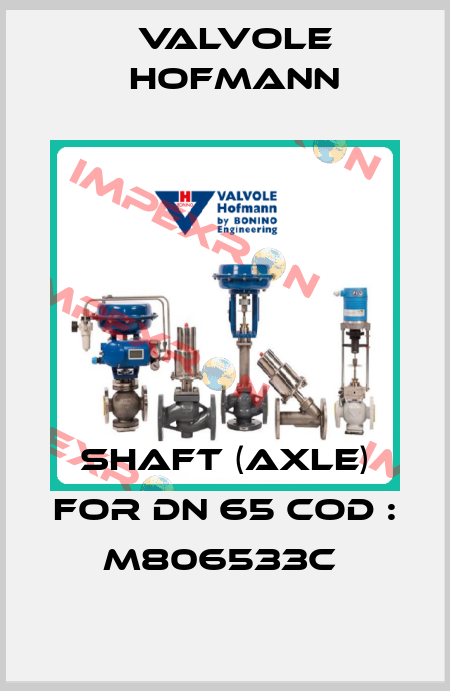 SHAFT (AXLE) FOR DN 65 COD : M806533C  Valvole Hofmann