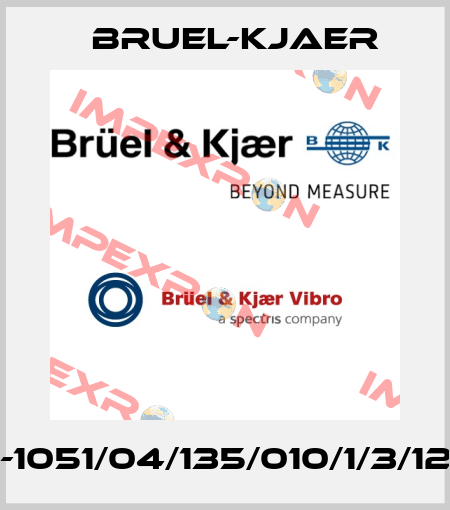 DS-1051/04/135/010/1/3/1204 Bruel-Kjaer