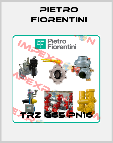 TRZ G65 PN16 Pietro Fiorentini