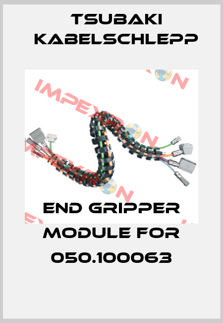 end gripper module for 050.100063 Tsubaki Kabelschlepp