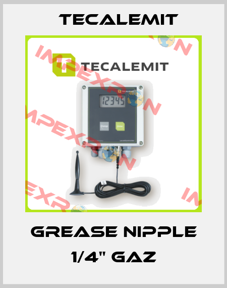 Grease Nipple 1/4" GAZ Tecalemit