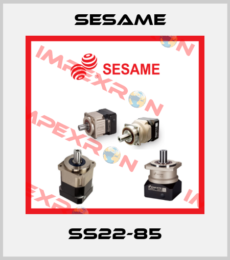 SS22-85 Sesame