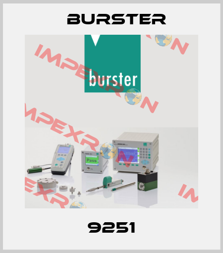 9251 Burster