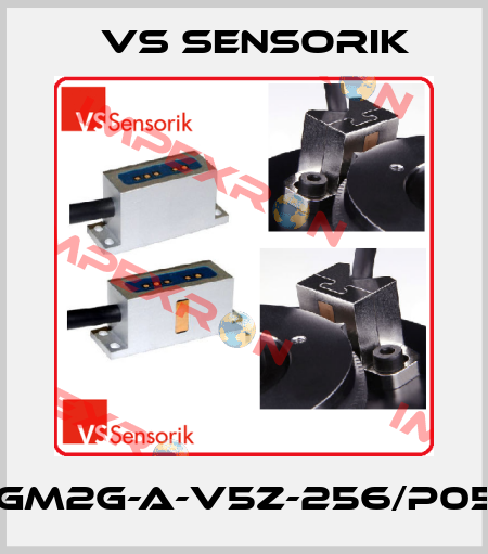 RGM2G-A-V5Z-256/P050 VS Sensorik