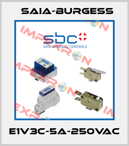 E1V3C-5A-250VAC Saia-Burgess