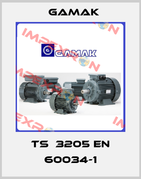 TS  3205 EN 60034-1 Gamak