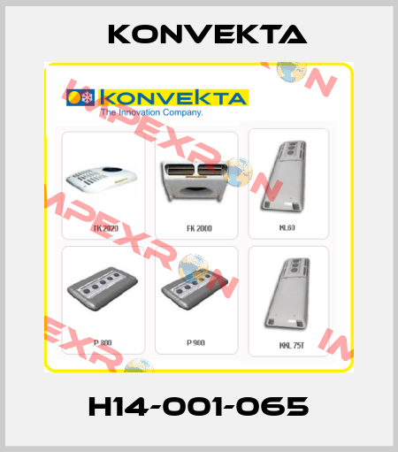 H14-001-065 Konvekta