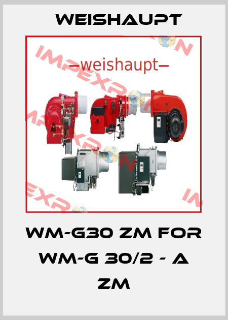 WM-G30 ZM for WM-G 30/2 - A ZM Weishaupt