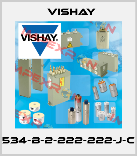 534-B-2-222-222-J-C Vishay