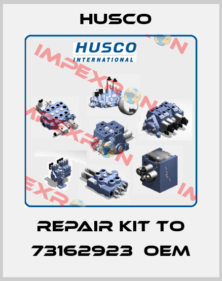 repair kit to 73162923  OEM Husco