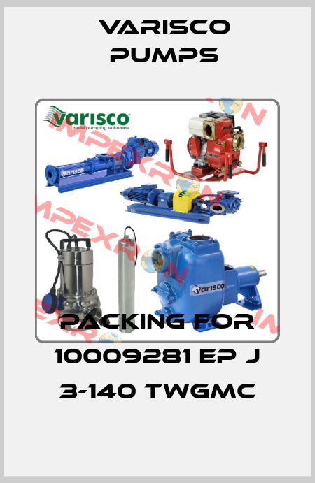packing for 10009281 EP J 3-140 TWGMC Varisco pumps