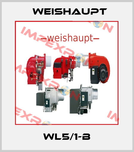 WL5/1-B Weishaupt
