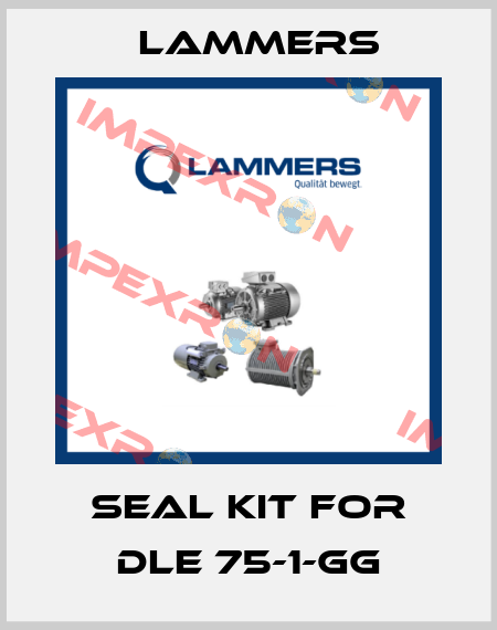 Seal kit for DLE 75-1-GG Lammers