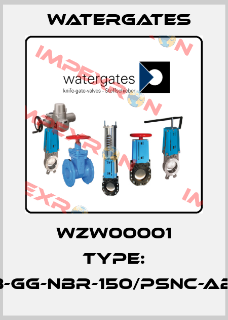 WZW00001 Type: WGAB-GG-NBR-150/PSNC-A2-ANSI Watergates