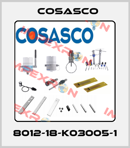 8012-18-K03005-1 Cosasco