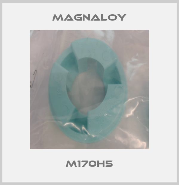 M170H5 Magnaloy