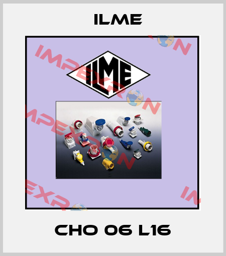 CHO 06 L16 Ilme