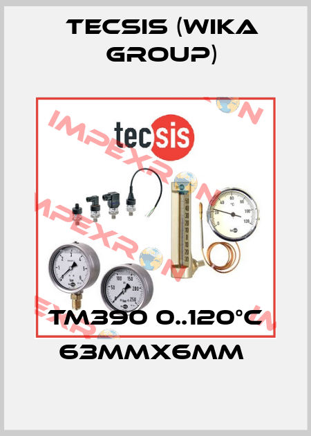 TM390 0..120°C 63mmx6mm  Tecsis (WIKA Group)