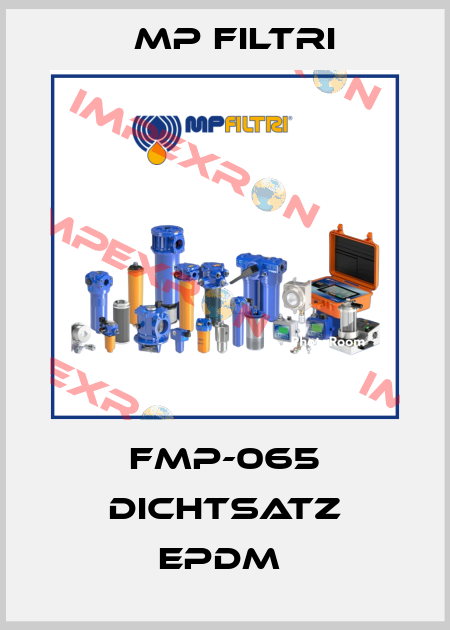 FMP-065 DICHTSATZ EPDM  MP Filtri