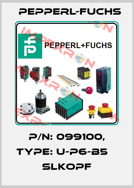 p/n: 099100, Type: U-P6-B5                 SLKopf Pepperl-Fuchs