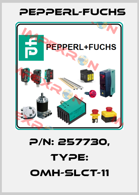 p/n: 257730, Type: OMH-SLCT-11 Pepperl-Fuchs