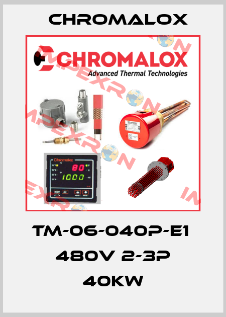 TM-06-040P-E1  480V 2-3P 40KW Chromalox