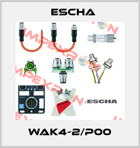 WAK4-2/P00 Escha