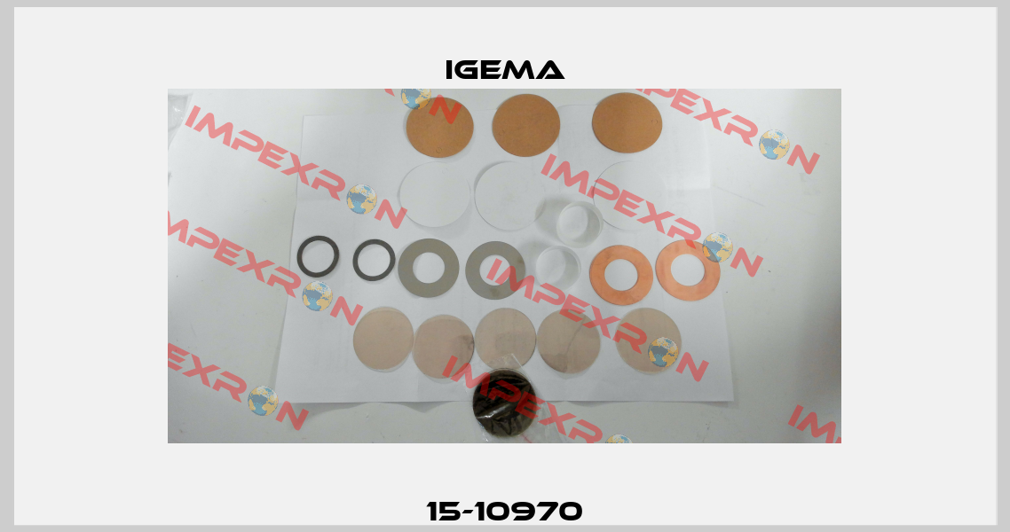 15-10970 Igema