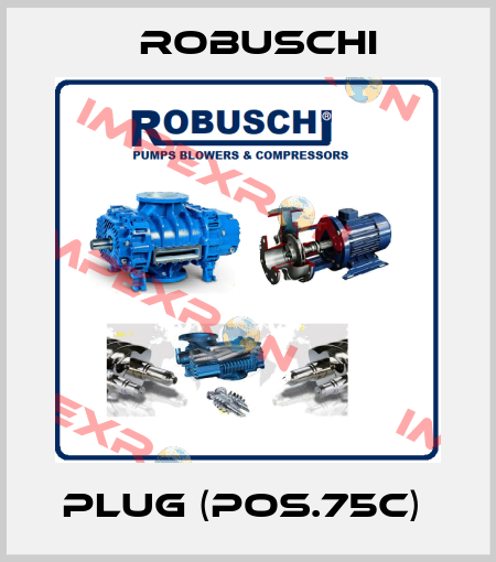 Plug (Pos.75C)  Robuschi