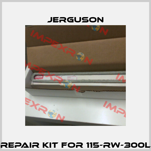 Repair Kit for 115-RW-300L Jerguson
