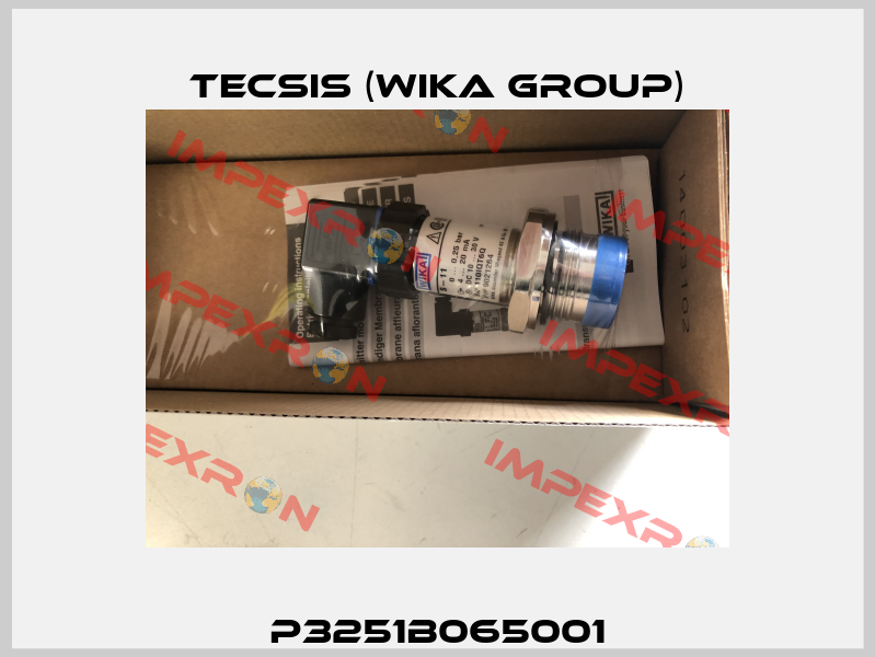 P3251B065001 Tecsis (WIKA Group)