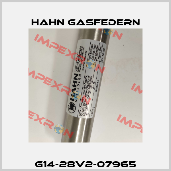 G14-28V2-07965 Hahn Gasfedern