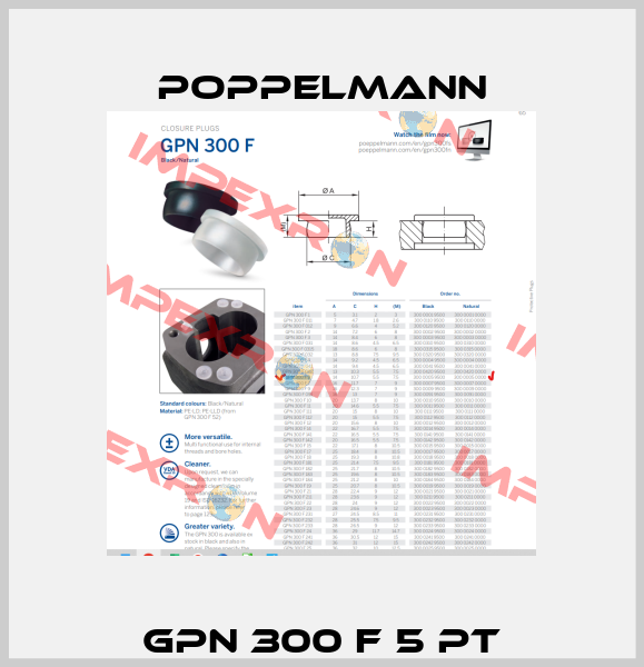 GPN 300 F 5 PT Poppelmann